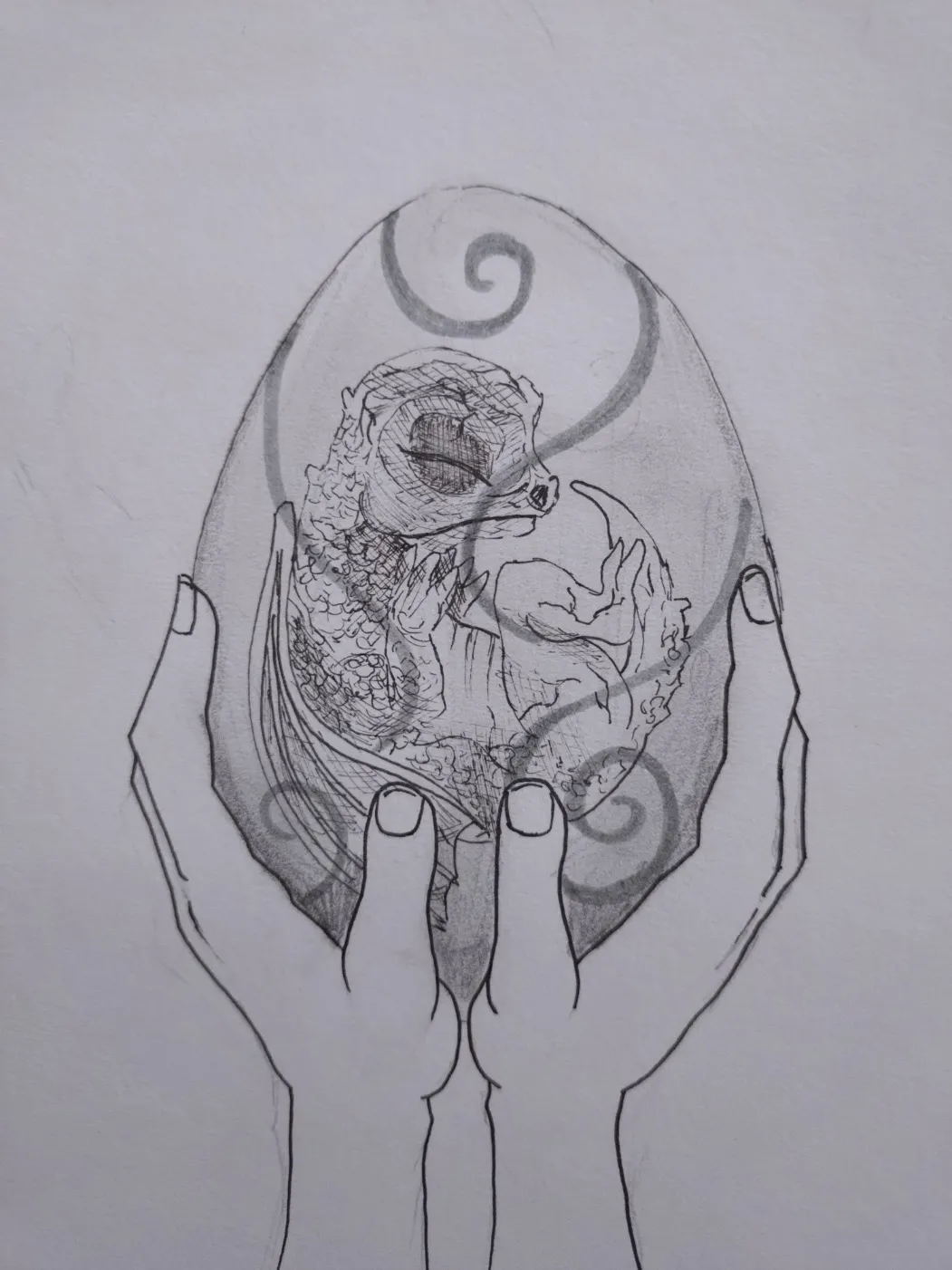 Croquis d'un oeuf où dort à l'intérieur un bébé dragon
